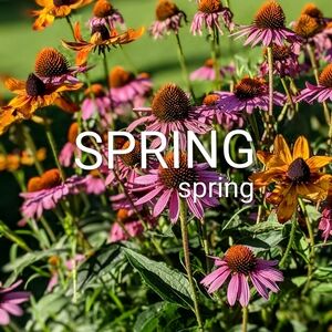 🌸The Little Shop of Floriculture In BLOOM🌸